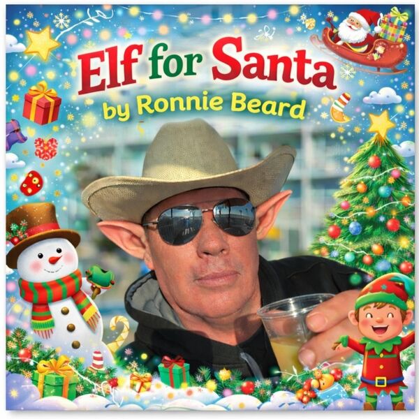 Cover art for Elf for Santa